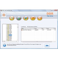 Скриншот DDR - Pen Drive Recovery 4.0.1.6