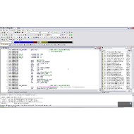 Скриншот IDA Pro 6.5.140124