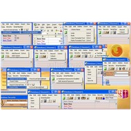 Скриншот ZeN Desktop Database 2010 v1.2
