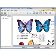 Скриншот Foxit PDF Reader for Linux 1.1