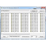 Скриншот Rename File Extensions 1.0